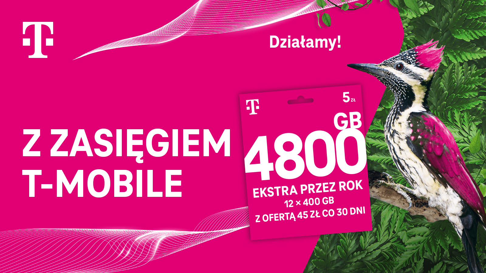 Rok Internetu od T-Mobile