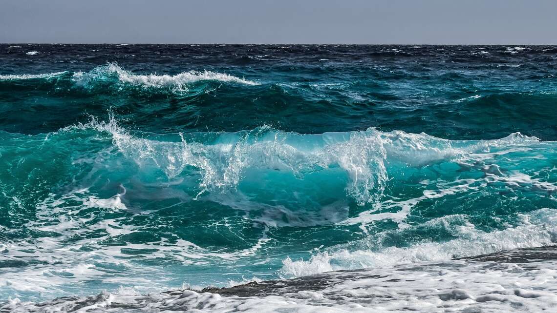 dzień oceanów